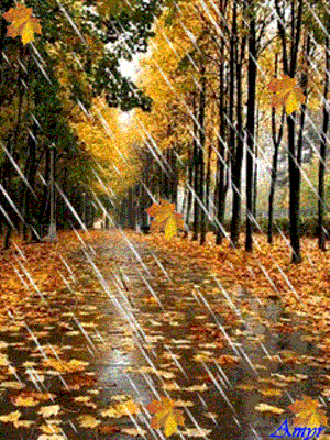 Заставки на телефон осень дождь вертикальные - фото и картинки  abrakadabra.fun