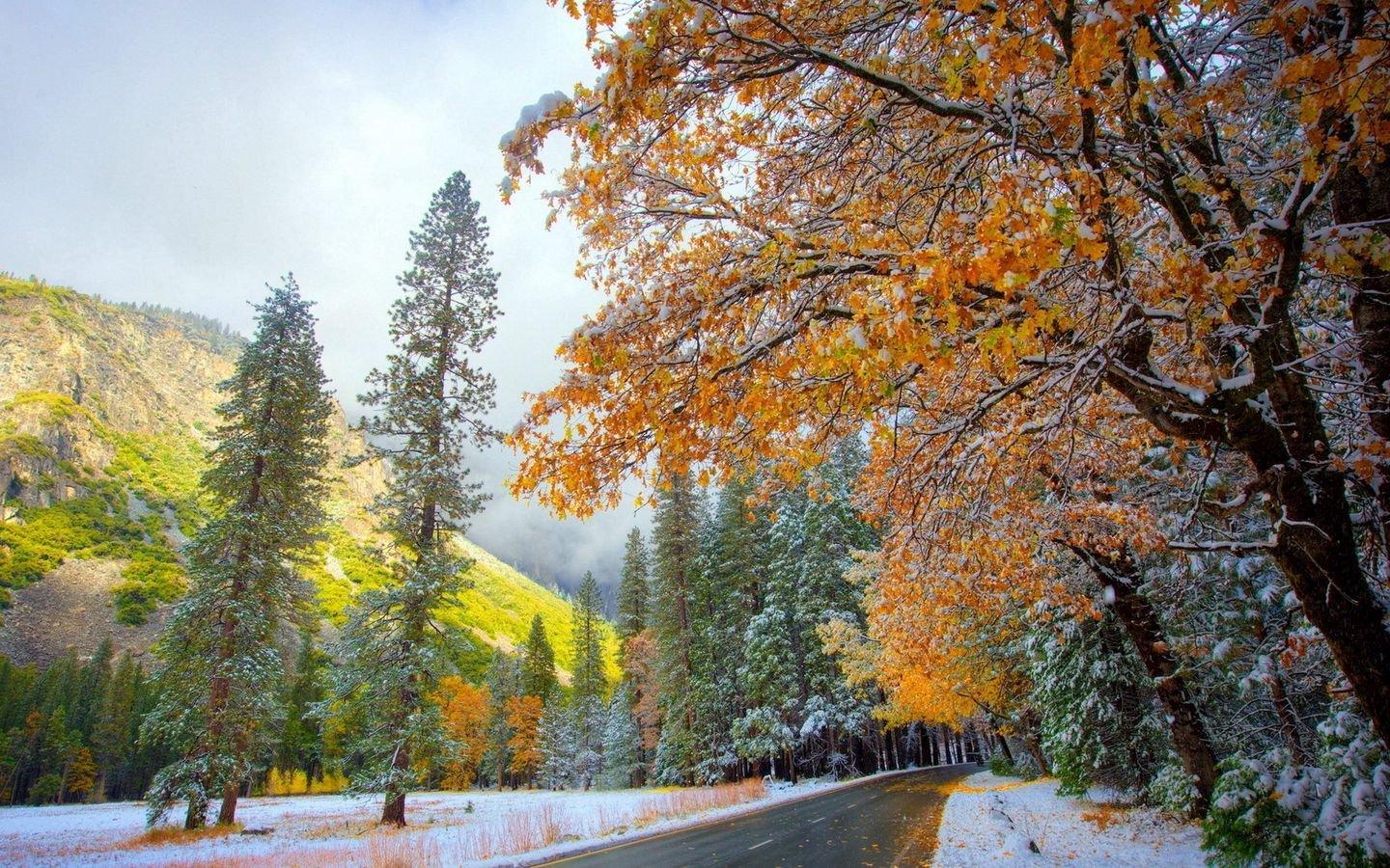 Картинка Зима Осень Природа Снег Дороги дерево