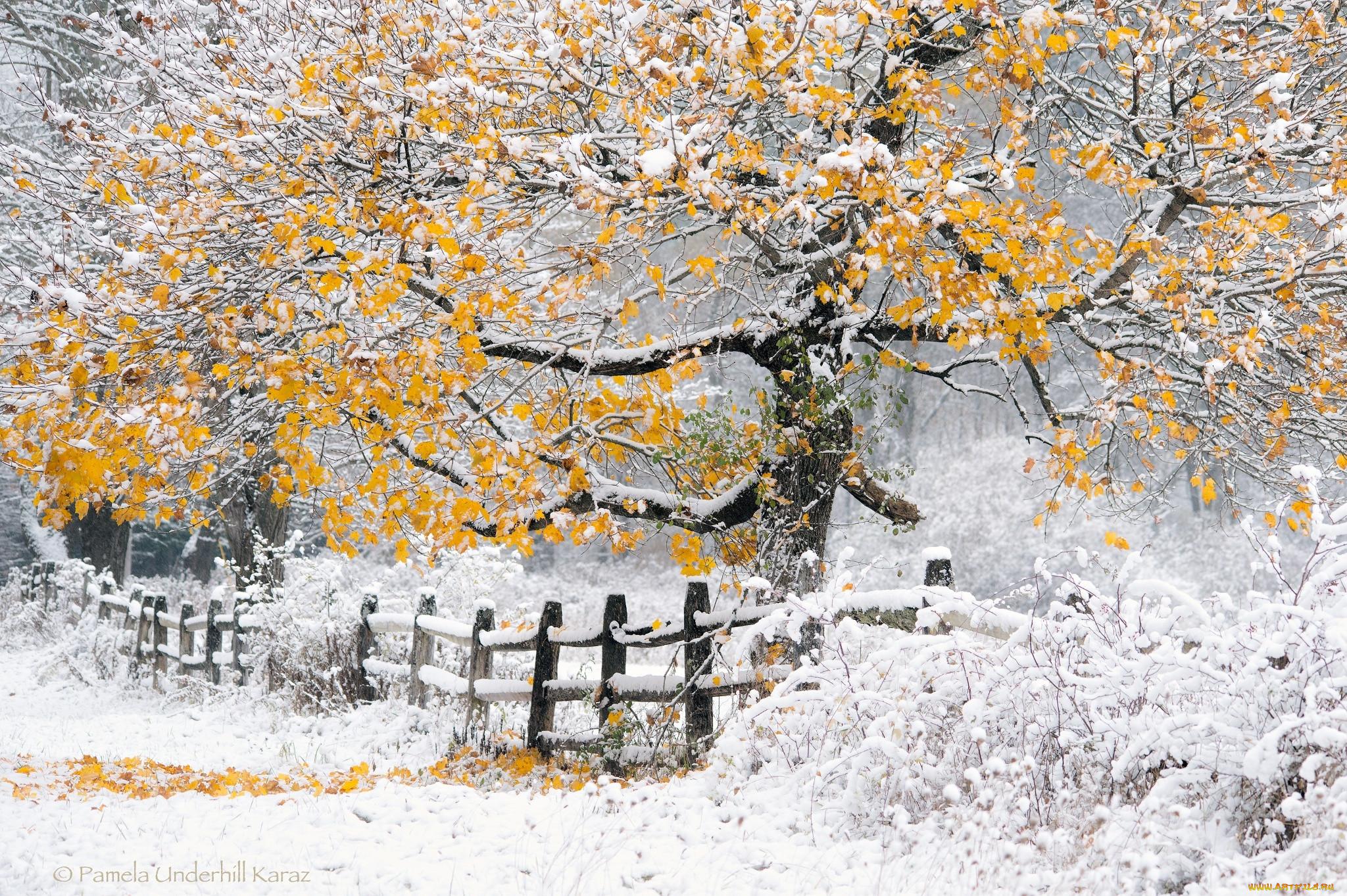 картинки : дерево, природа, снег, зима, след, Осень, Погода, время года,  Водный путь, Финляндия, Октябрь, Финский, Oulu Finland 4912x2760 - - 608014  - красивые картинки - PxHere