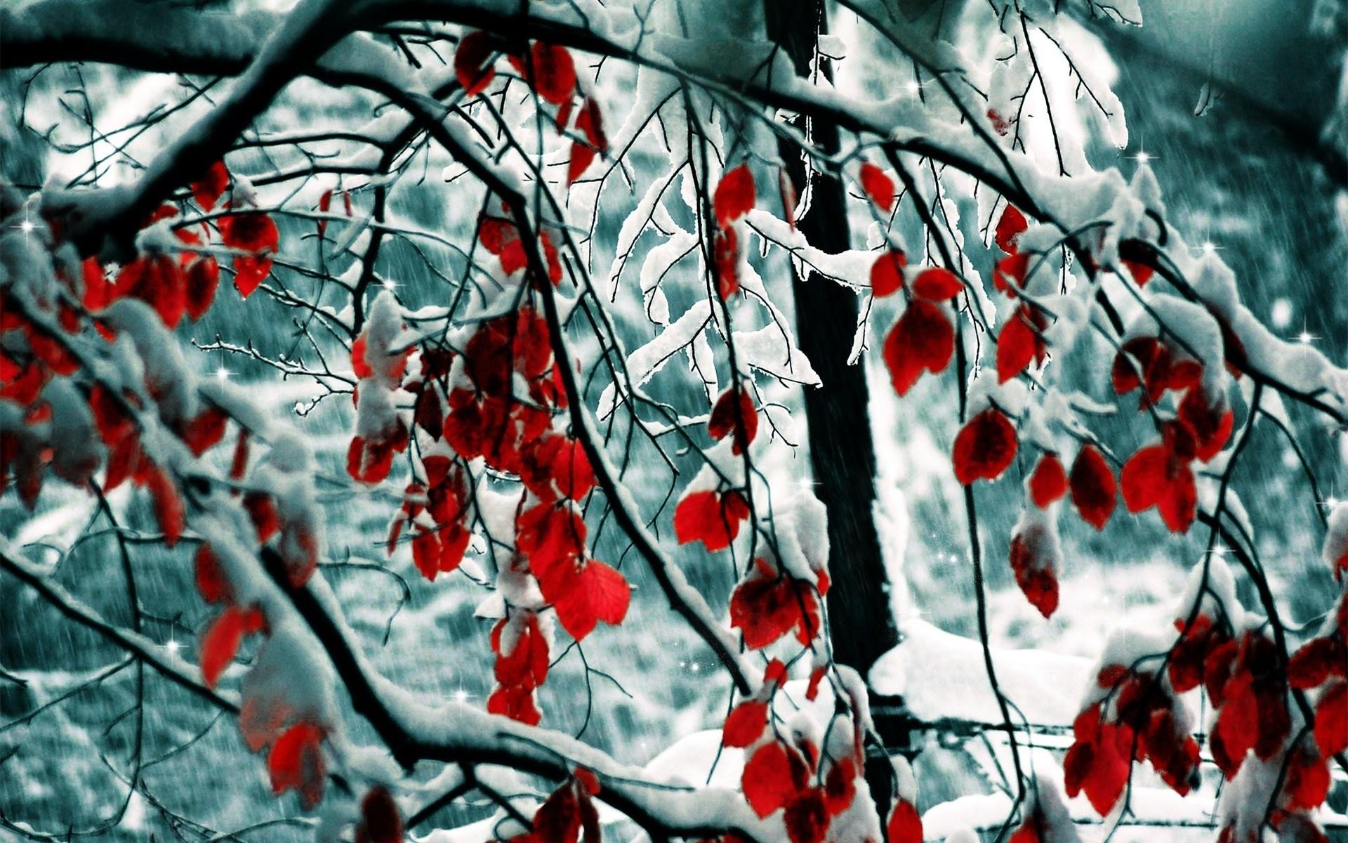 Осень-зима: изобрази плавный переход…» — создано в Шедевруме