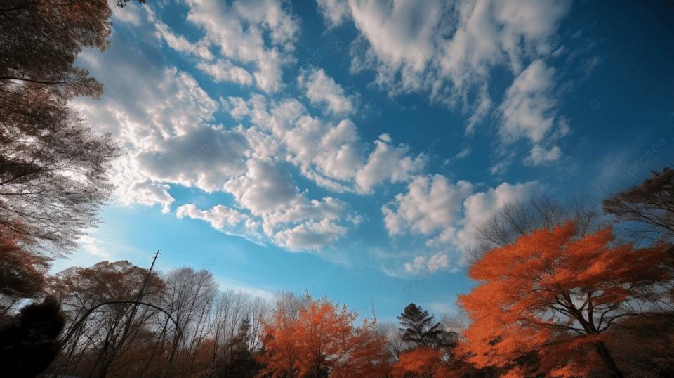 Осеннее небо :: Милагрос Экспосито – Социальная сеть ФотоКто