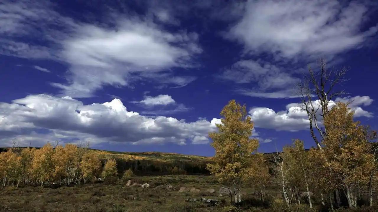 Фотографии Осень Природа лес Небо Дороги дерева