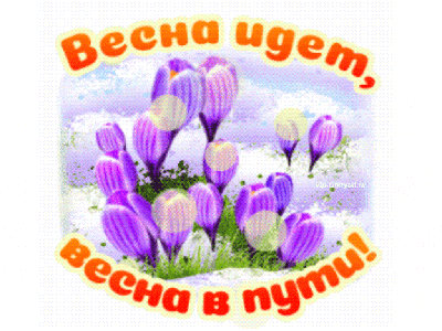 Цветущий ботсад: во Владивосток пришла настоящая весна (ФОТО) -  PrimaMedia.ru