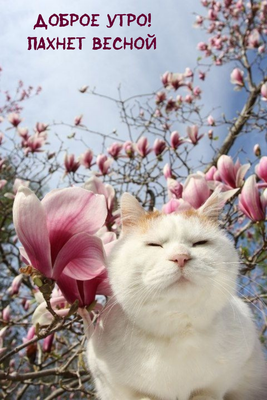 Анимированная открытка Как сладко пахнет весна!