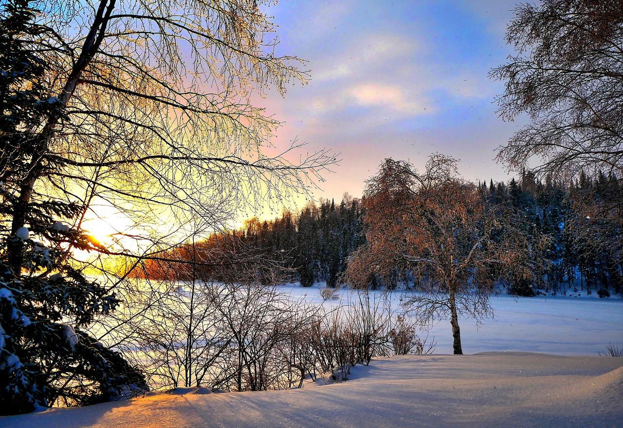 Пейзаж Природа Зима - Бесплатное фото на Pixabay - Pixabay