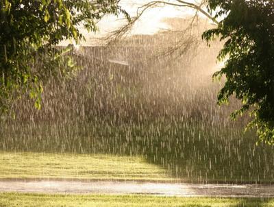 Погода в Кирове: дождь будет идти до понедельника - Общество - Newsler.ru