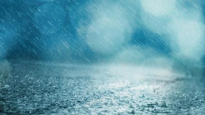 Погода на среду: Облачно и дождь | Новости Приднестровья