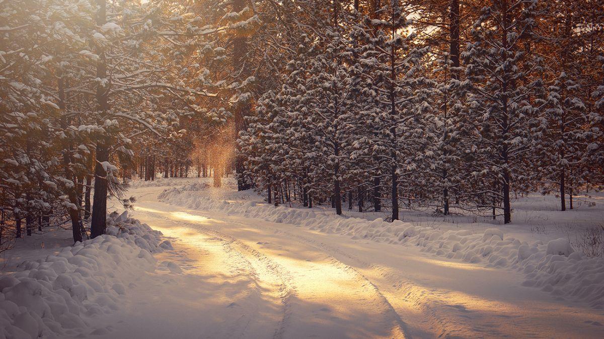 Погода зимой 2022-2023 - будут ли сильные морозы - синоптик дал прогноз |  OBOZ.UA