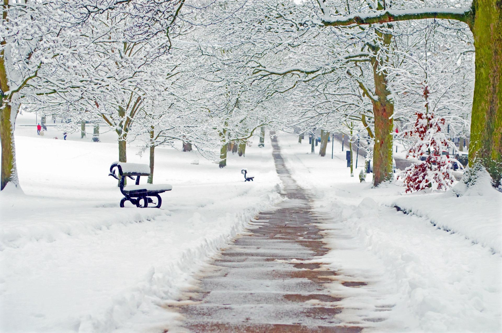 Какая погода будет этой зимой: прогноз погоды на декабрь, январь, февраль -  25 ноября 2023 - V1.ру