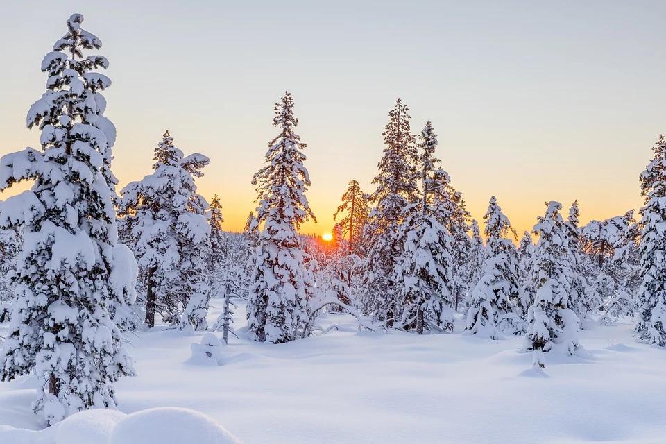 Зима уходит на перерыв: погода в Литве резко изменится - Delfi RU