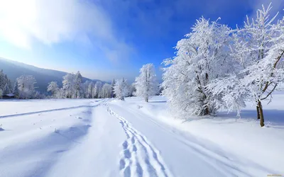Погода в Украине: какой будет зима, когда морозы, прогноз | OBOZ.UA