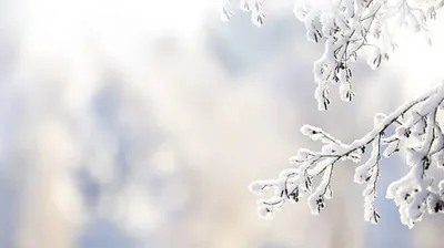 Зимняя погода - солнечная зимняя погода, зимняя погода фото – ФотоКто