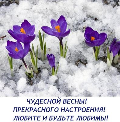 С первым днем весны - открытки, картинки, гиф, поздравления 1 марта