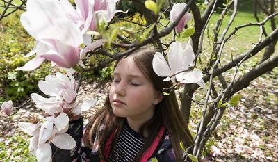 Квест – игра «Приметы весны» (старший дошкольный возраст, 5-6 лет) |  Дефектология Проф
