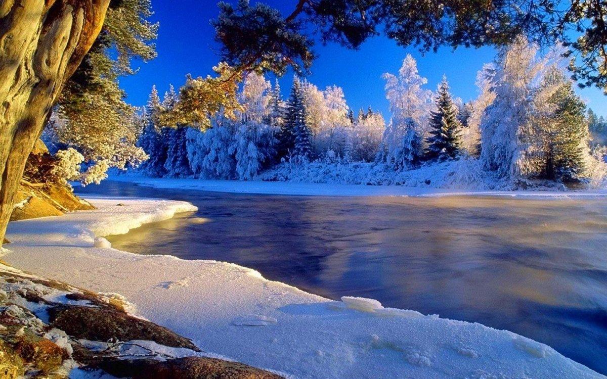 Природа Зима Сезон - Бесплатное фото на Pixabay - Pixabay