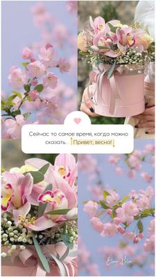 Скидка 20% — Привет, весна! Геленджик - Chams.ru