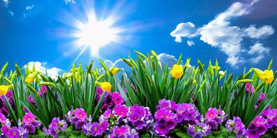 Картинки доброе утро природа весна прикольные (58 фото) » Картинки и  статусы про окружающий мир вокруг