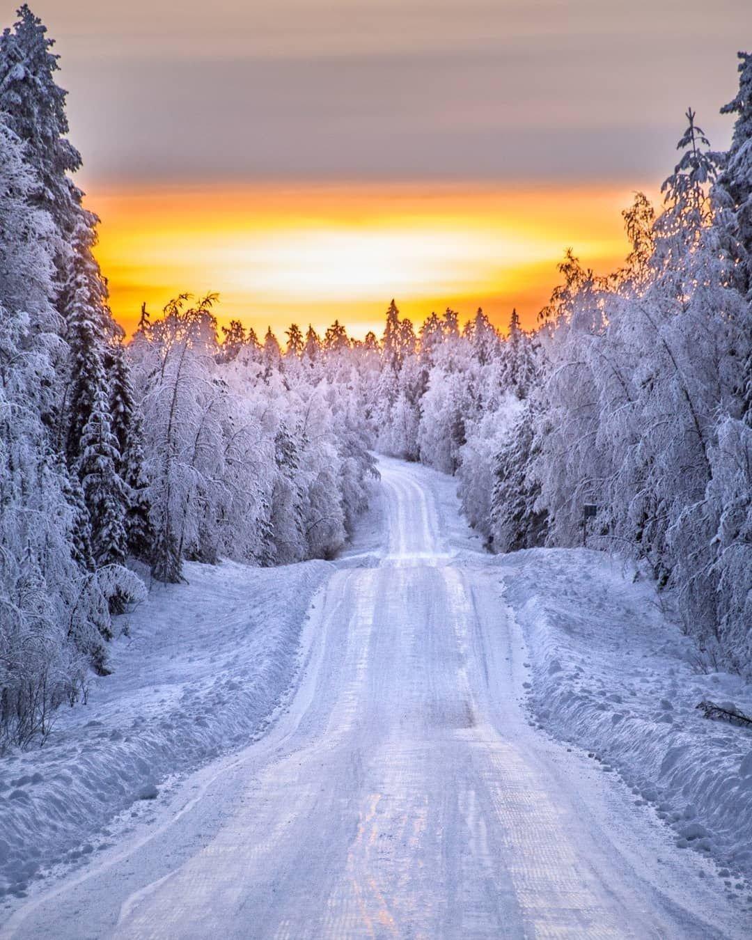 фото :: зима :: Природа :: пейзаж :: дорога - JoyReactor