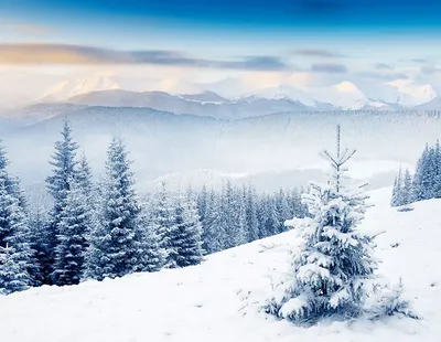 Красивый зимний пейзаж в горах Stock Photo | Adobe Stock