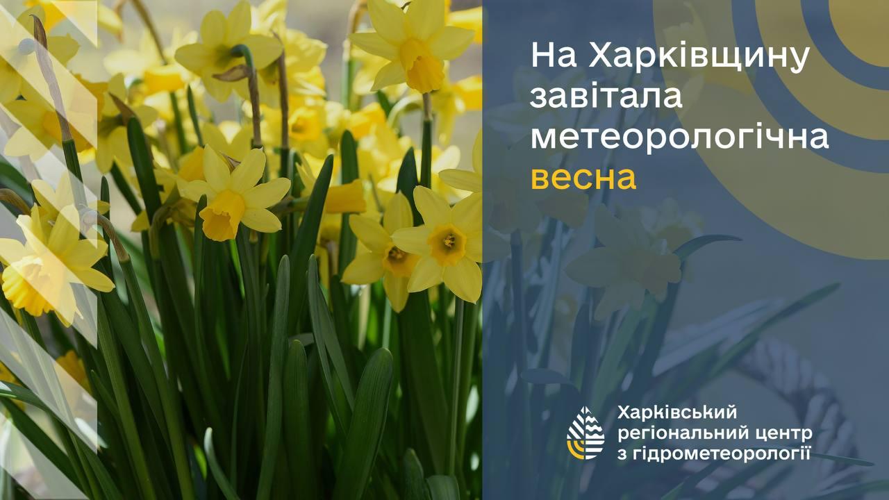 Фотография Люблю весну №208058 - «Весна-красна!» (19.02.2024 - 15:31)