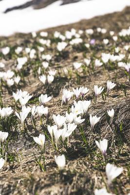 Весна- пробуждение природы | Пикабу