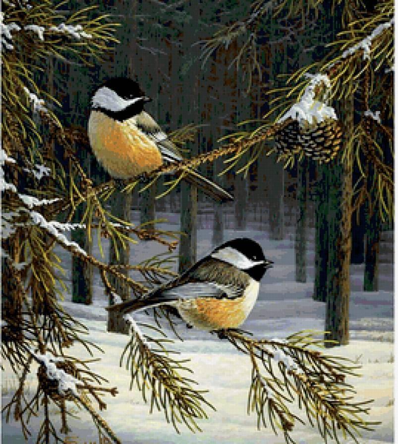 Птички зимой” – это уже и песенка! | Мир дошколят