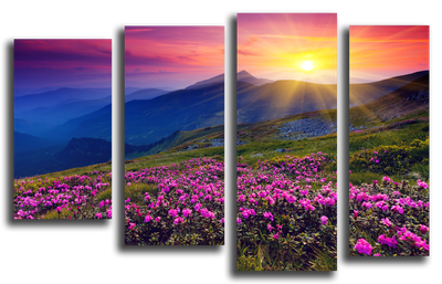 Картинки Утро, лучи, туман, солнце, лес, природа, рассвет, горы - обои  2560x1600, картинка №16738