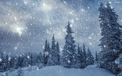 Yeele с днем рождения фон с изображением зимы снеговика птица прохладный  фон для фотосъемки в любую индивидуальную тематику для фотостудии для  украшения, изготовленные по индивидуальному заказу для Размеры | AliExpress