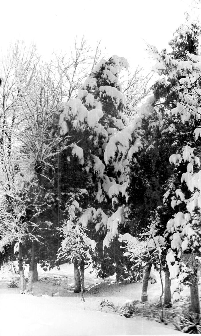 Фото) Как выглядели \"настоящие\" зимы в стране в период с 1960-1980 годов -  Nokta