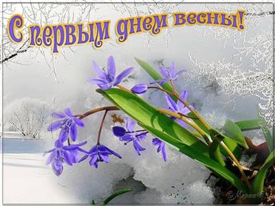 1 марта — картинки, открытки с первым днем весны, поздравления в прозе / NV