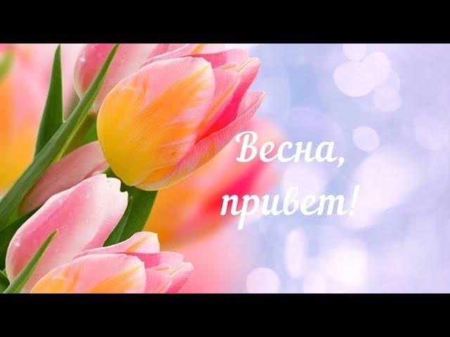 Поздравления с первым днем весны ᐈ Приметы на 1 марта - Новости на KP.UA