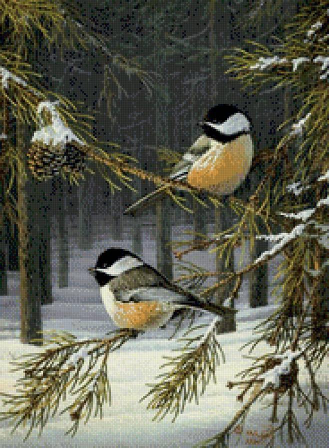 Синица зимой — конкурс \"Птицы зимой\" — Фотоконкурс.ру