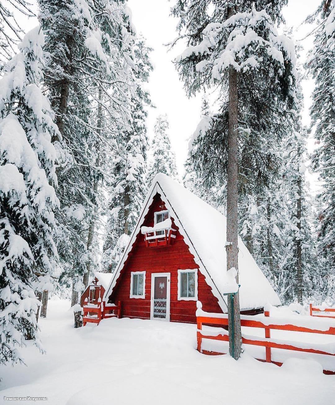 Сказочный домик в лесу зимой: 78 фото