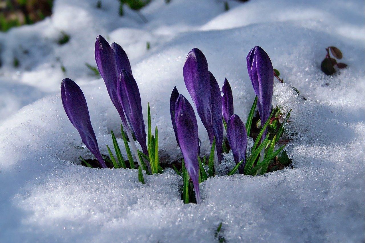 Когда в Башкирии начнется настоящая весна и растает снег