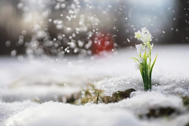 Файл:Левитан Весна. Последний снег.jpg — Википедия