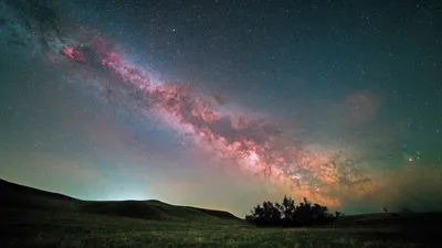дерево со звездами на нем в небе, картина звездного неба, звездное небо,  ночное небо фон картинки и Фото для бесплатной загрузки