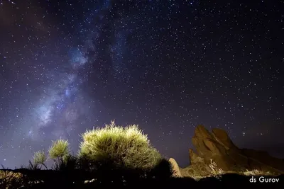 Геминиды: красивый поток падающих звезд, который можно наблюдать на небе в  декабре - Sortiraparis.com