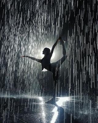 В Полоцк привезут «Шоу под дождем» и расскажут, где искать счастье |  Новости Полоцка и Новополоцка на GOROD214.by