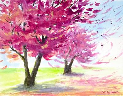 Скачать 1280x1280 сакура, цветы, весна, цветет, светло-розовый, нежный  обои, картинки ipad, ipad 2, ipad mini for parallax