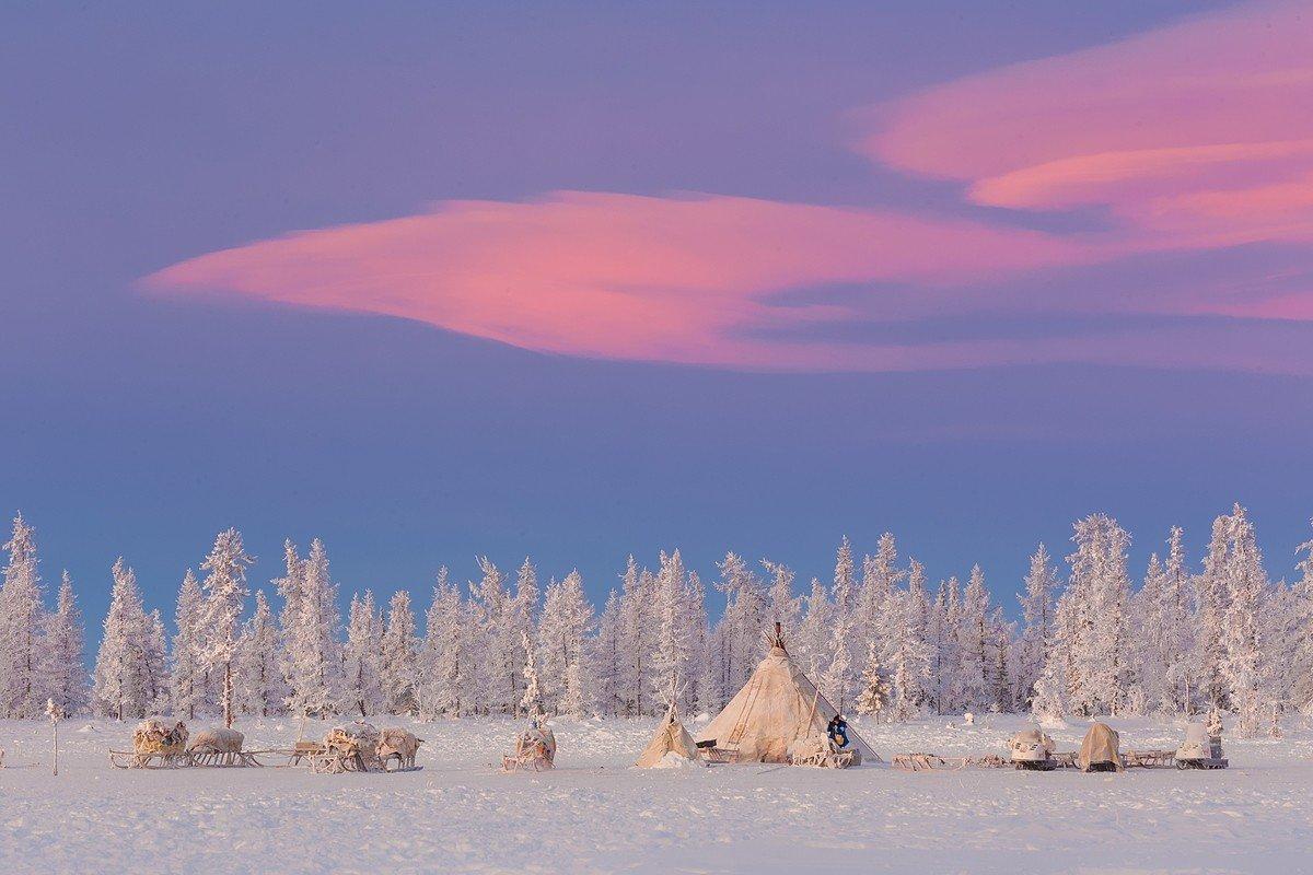 Картинки тундры зимой фотографии