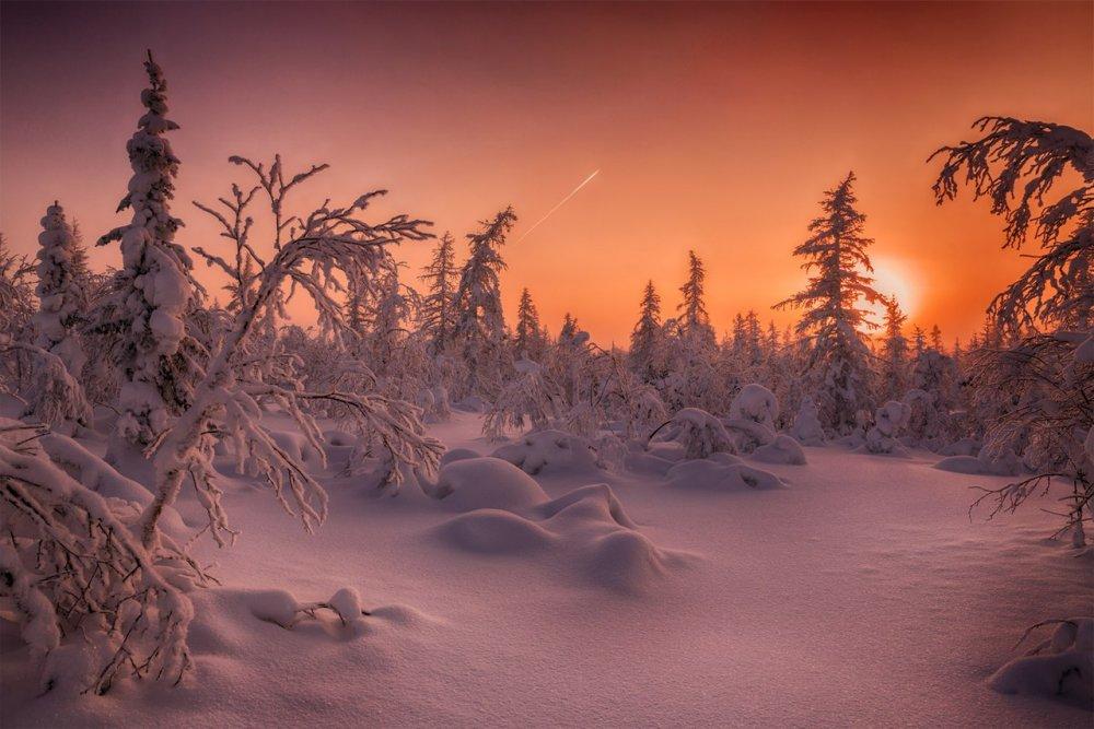 Тундра зимой (77 фото) - 77 фото
