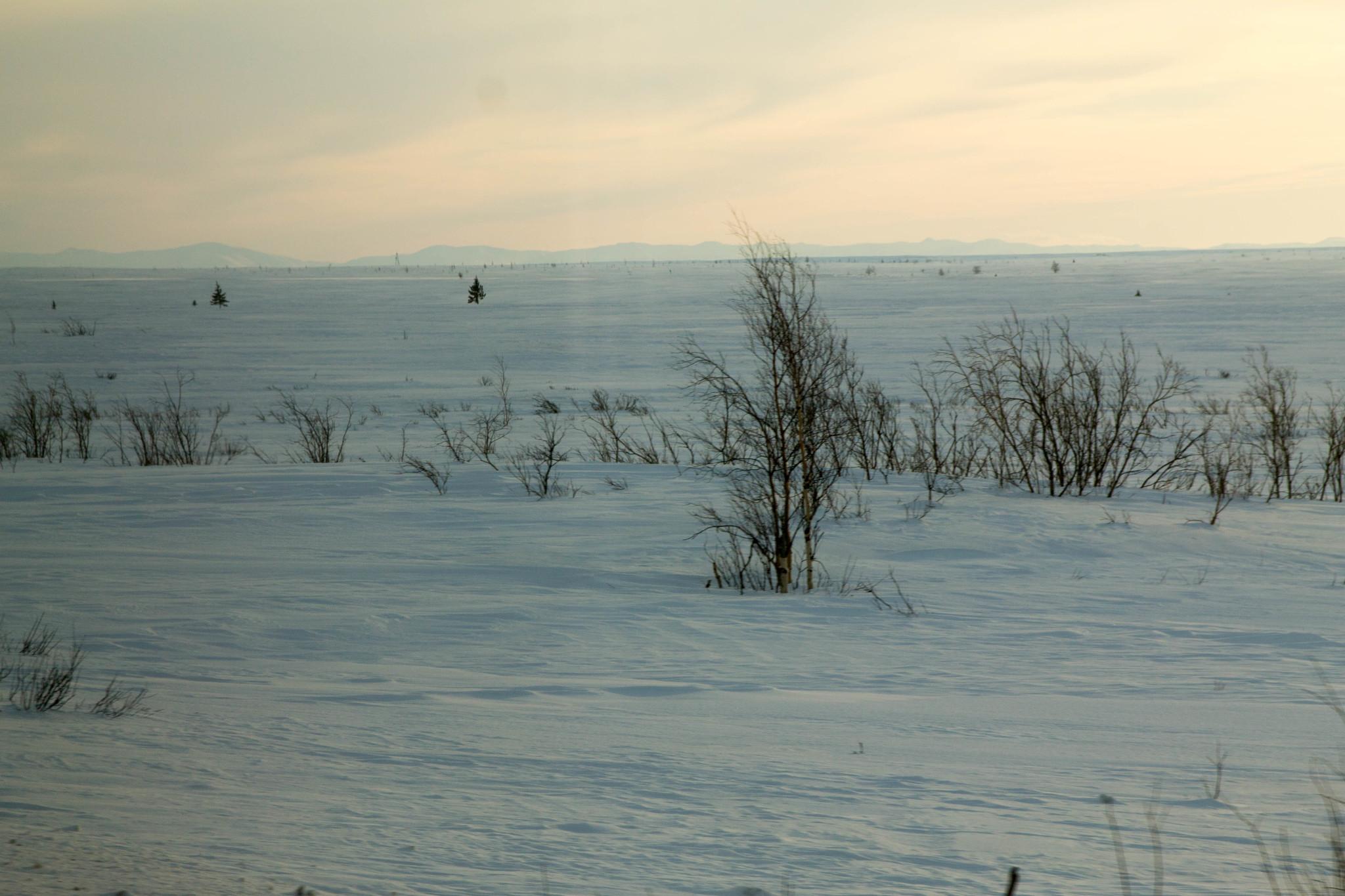 Как одеваются оленеводы зимой так, что не мёрзнут даже в -50 °С, и как они  живут посреди тундры | Путешествия с фотокамерой | Дзен