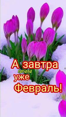 А завтра - Лето!.. 😍 С добрым Утром!.. 😀 До свидания, Весна!.. ☺ До новой  встречи!.. | ВКонтакте