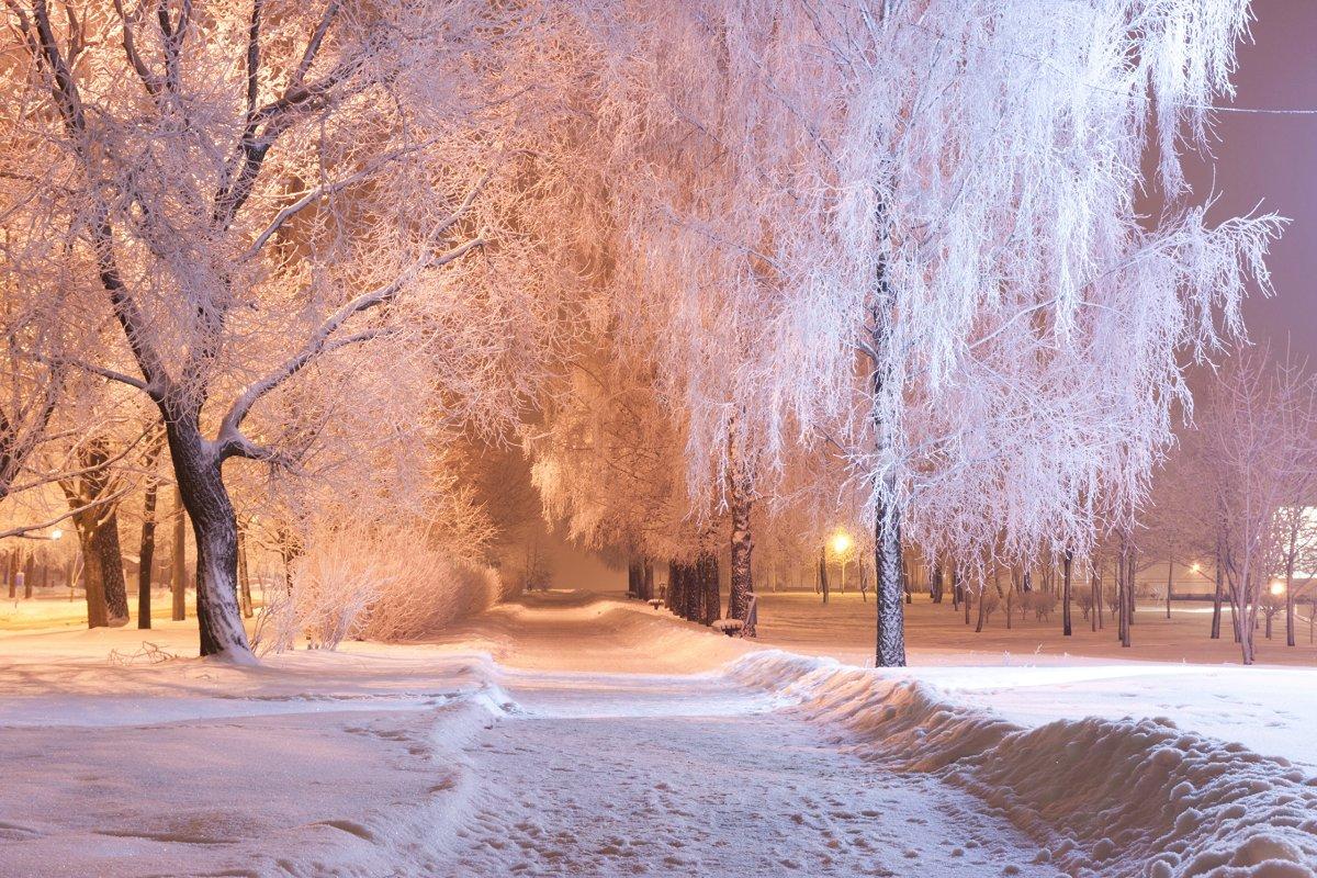 Ночь. Улица. Зима | Пикабу