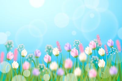 Весна Дождь Цветы Вишни В - Бесплатное фото на Pixabay - Pixabay