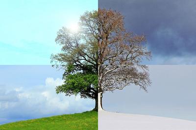4 сезона - весна, лето, осень, зима. Искусство Иллюстрация вектора -  иллюстрации насчитывающей среда, конспектов: 34448482