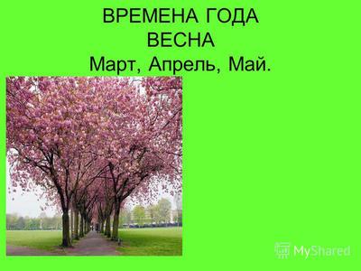 Весна - март, апрель, май (Сергей Карпеев 3) / Стихи.ру