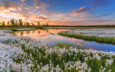 Весенний пейзаж, красивые весенние фото пейзажей Вязынки | Фотограф -  Валерий Ведренко