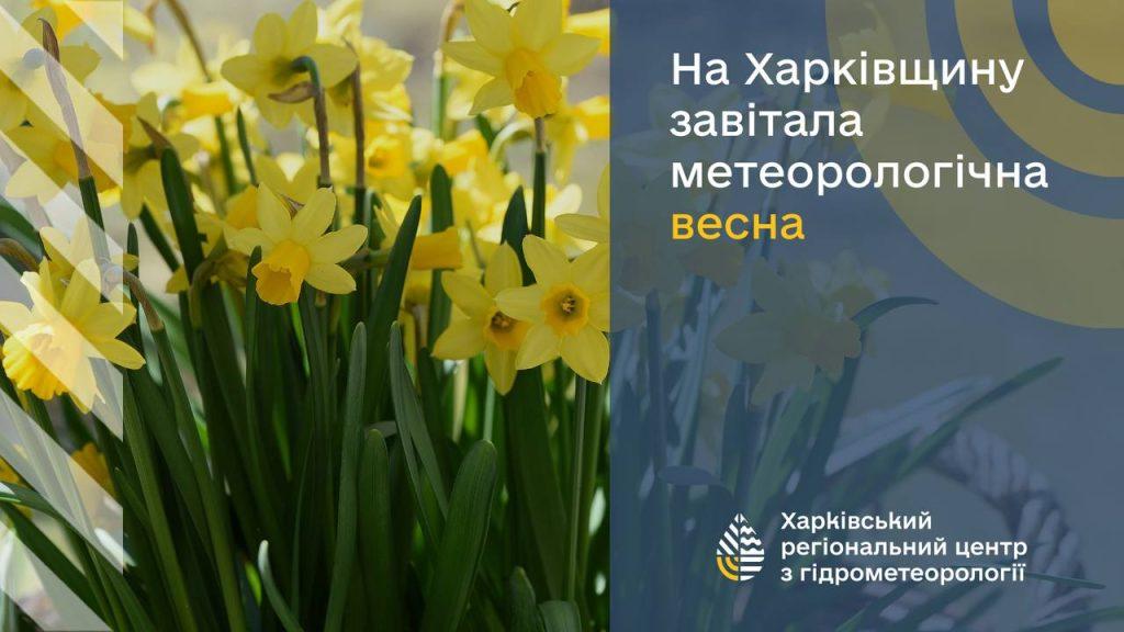 Купить картину Весна пришла в Москве от художника Хатмулина Ольга