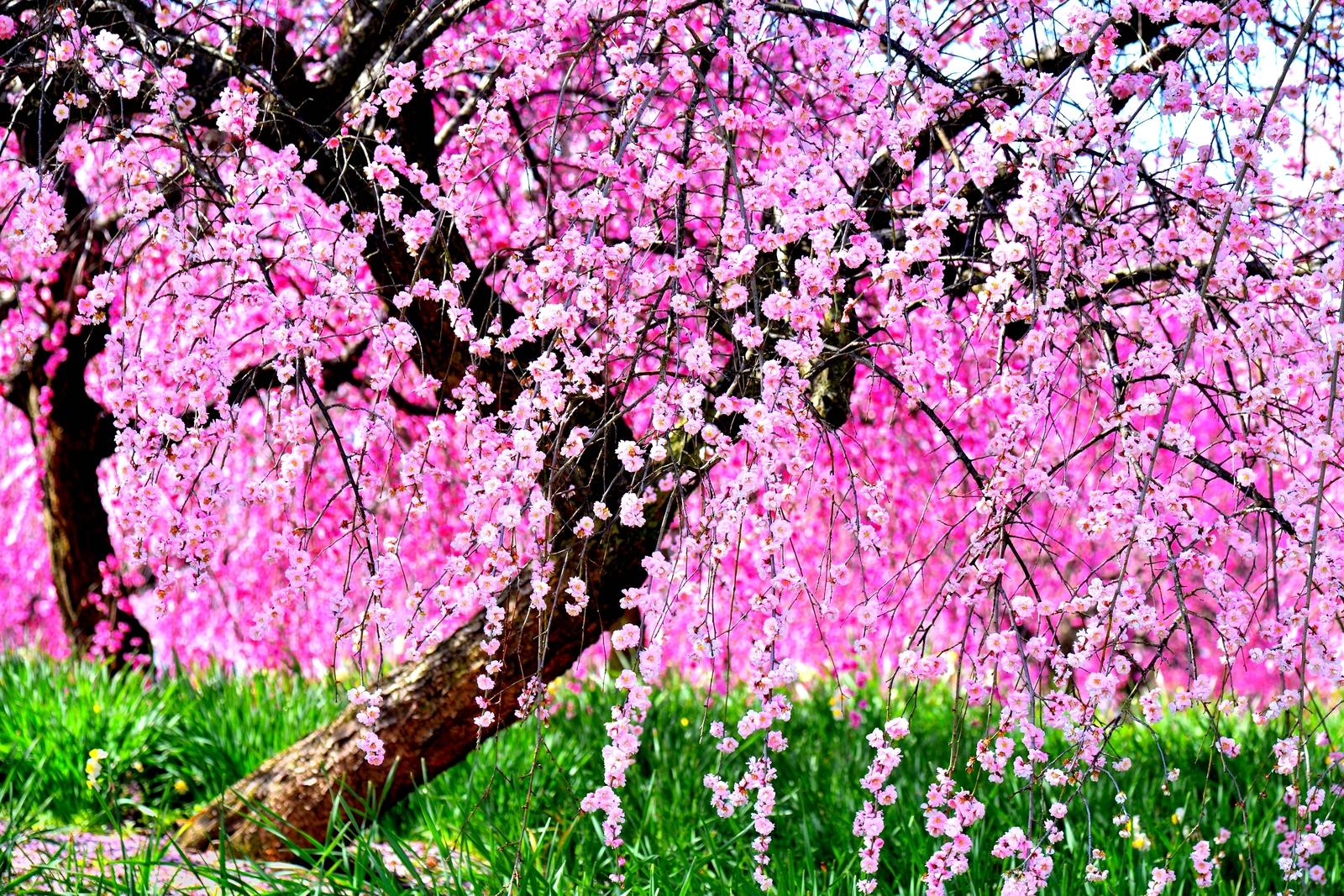 Весна пришла | Пикабу